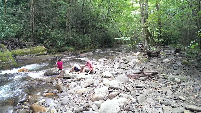 Round Bottom Campground Picture 8