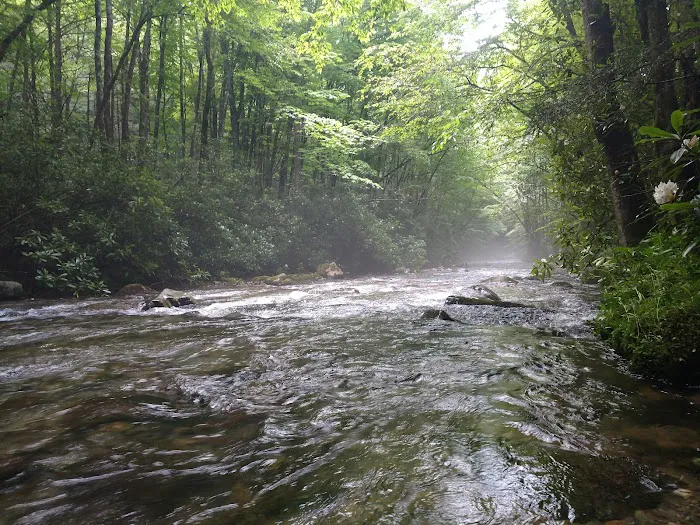 Round Bottom Campground Picture 5