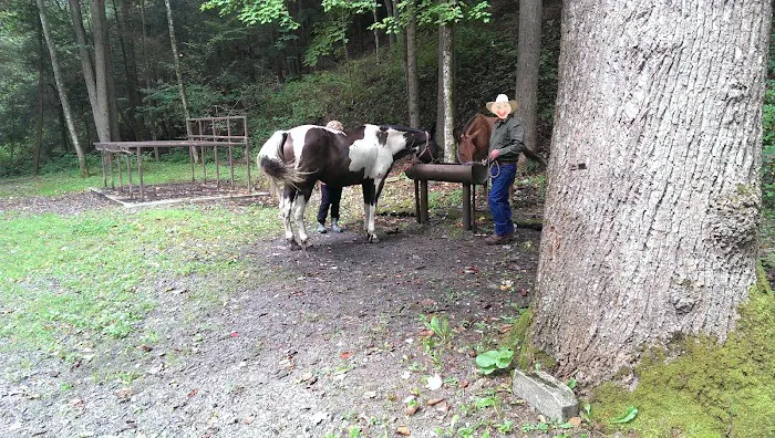 Round Bottom Campground Picture 1