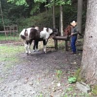 Round Bottom Campground ico