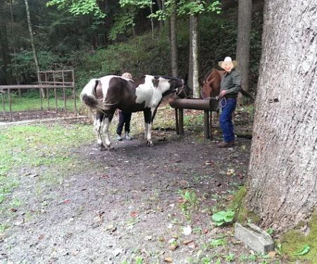 Round Bottom Campground