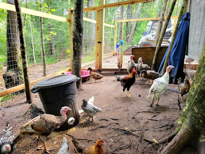 Flowertown Glampground Picture 3