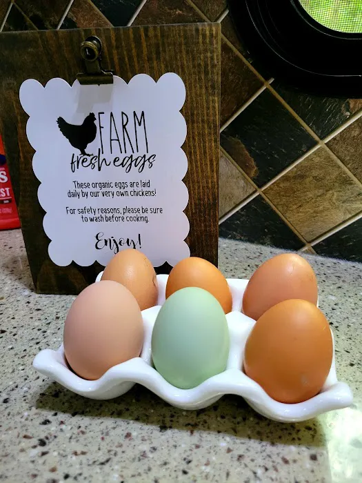 Flowertown Glampground Picture 7