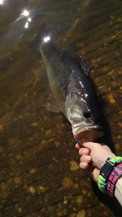 Wyboo Pointe Campground & Marina LLC Picture 3