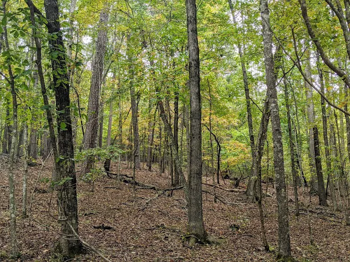 Lake Russell Campground Picture 2