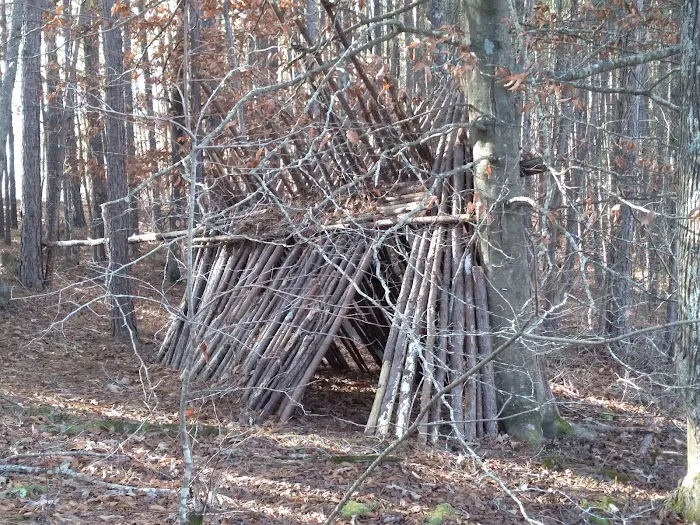 Lake Russell Campground Picture 4