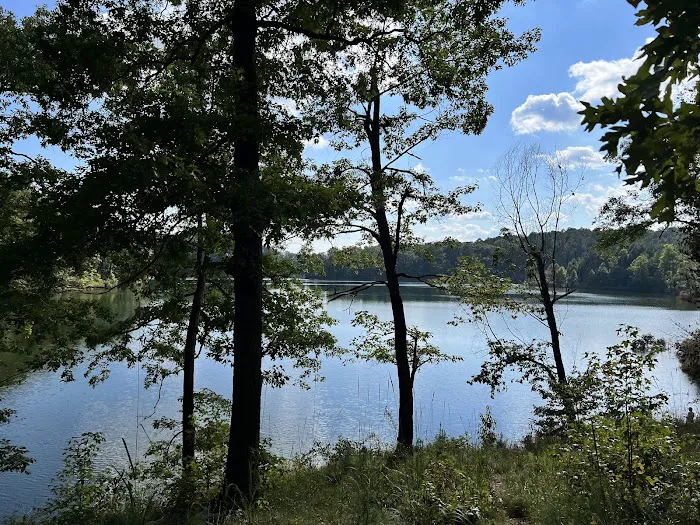 Lake Russell Campground Picture 10