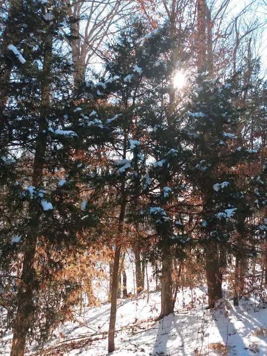 US Campgrounds Picture 8