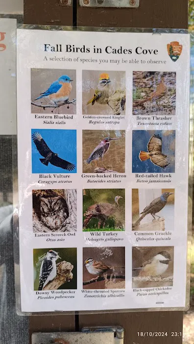 Ole Smoky Retreat Picture 2