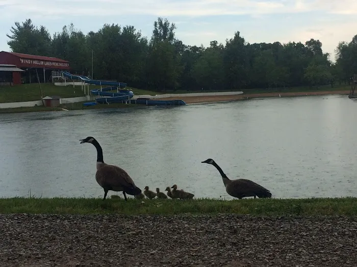 Windy Hollow Campground(camp*fish*swim) Picture 5