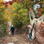 Gods Blessing Farm LLC