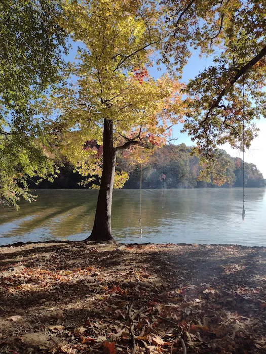 Rhea Springs Campground Picture 7