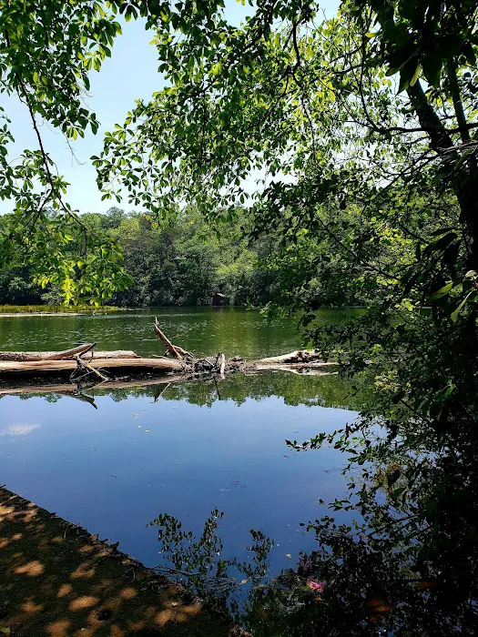 Tranquility RV & Campground Picture 4