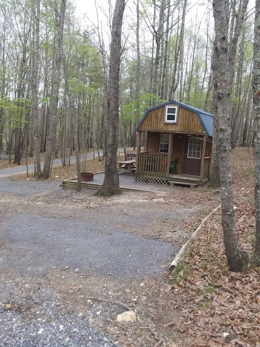 Tranquility RV & Campground Picture 8