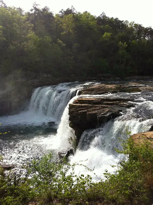 Mountain Laurel Inn Picture 7