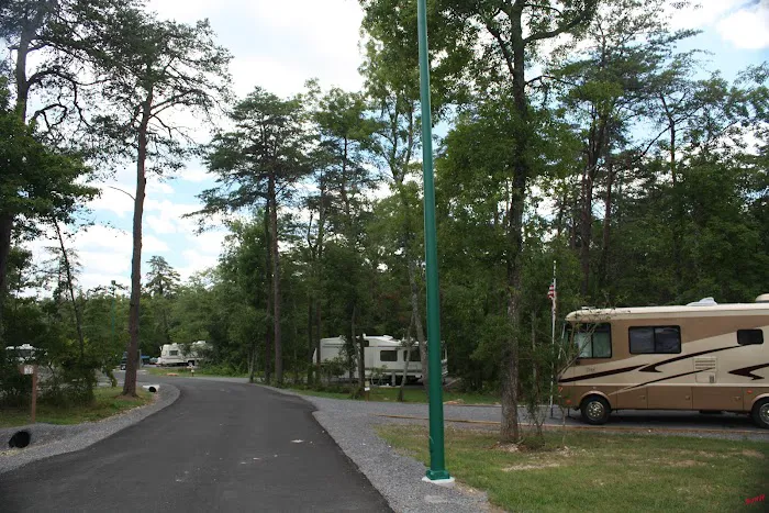 DeSoto State Park Campground Picture 9