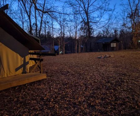 Campsite 4 (Buffalo)