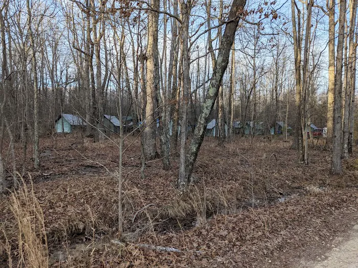 Campsite 4 (Buffalo) Picture 5