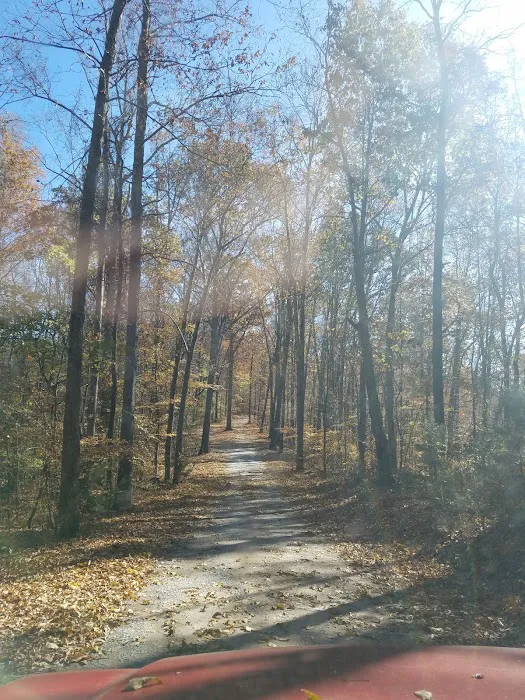 Tennessee Hills Campgrounds Picture 1
