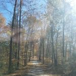 Tennessee Hills Campgrounds