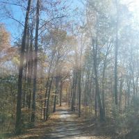 Tennessee Hills Campgrounds ico