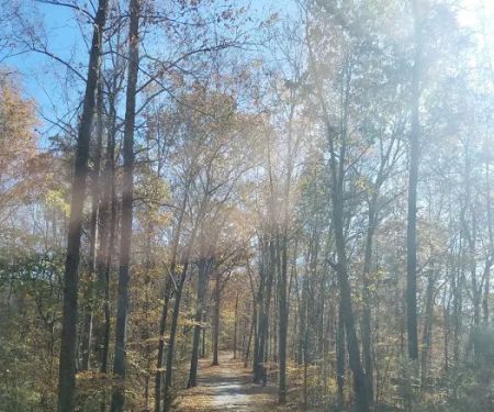 Tennessee Hills Campgrounds