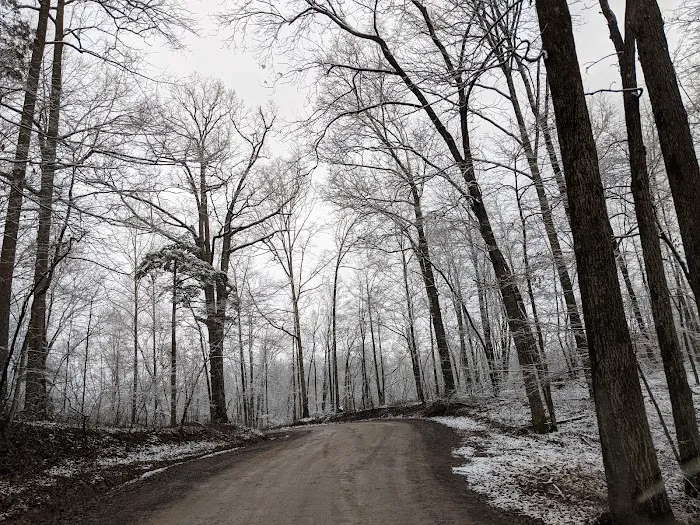 Tennessee Hills Campgrounds Picture 2