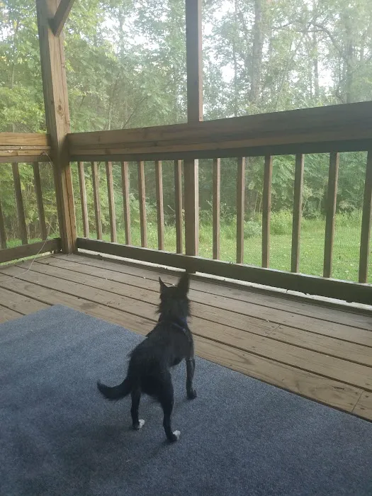 Tennessee Hills Campgrounds Picture 4