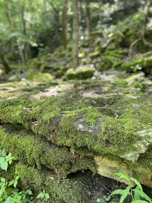 Old Stone Fort State Park Campground Picture 5