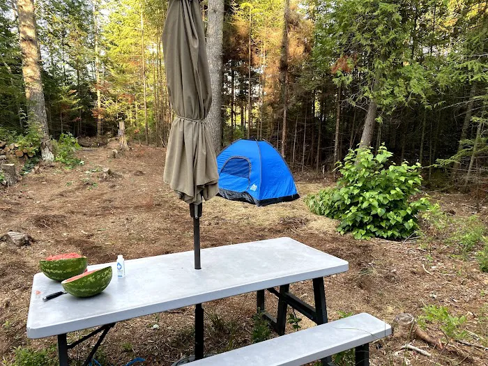 Just Show Up Campground Picture 4