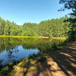 Carp River Campground
