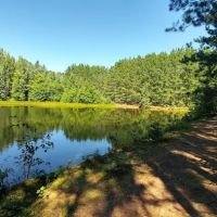 Carp River Campground ico