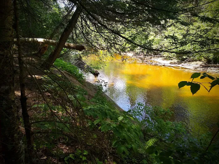 Carp River Campground Picture 10