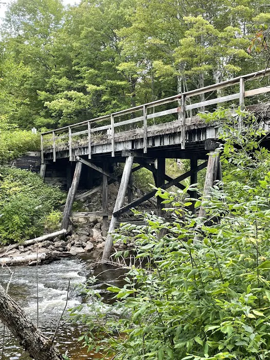 Carp River Campground Picture 4