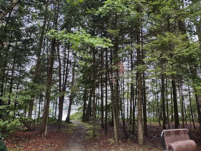 Brevort Lake Campground Picture 3