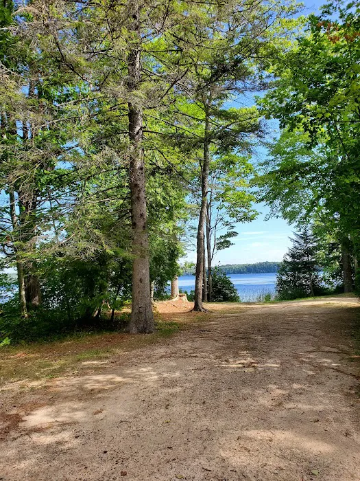 Brevort Lake Campground Picture 10