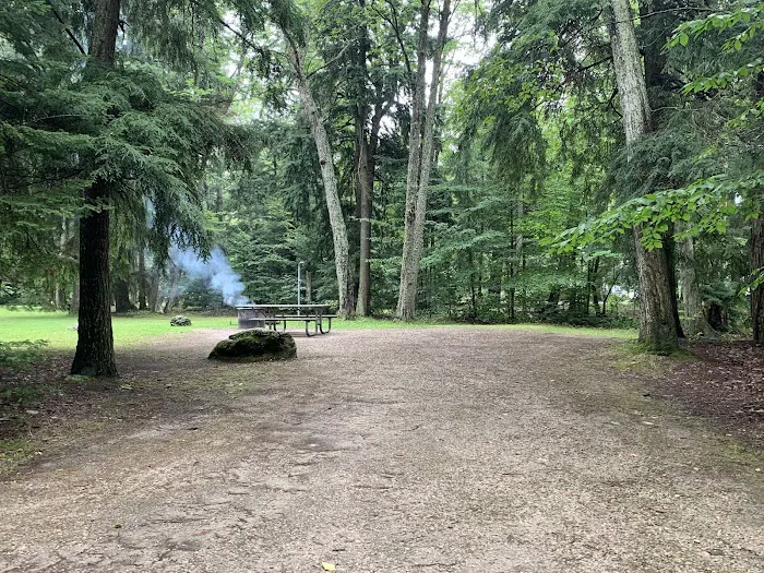 Brevort Lake Campground Picture 1