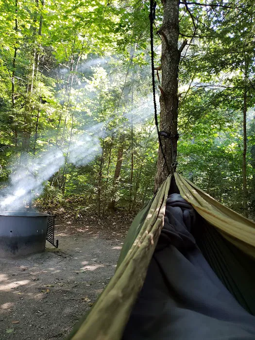 Brevort Lake Campground Picture 6