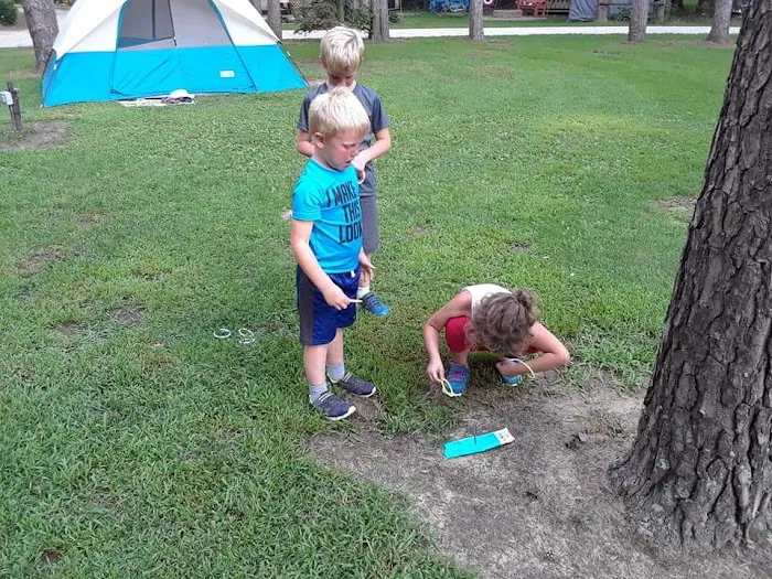 Pine View Campground Picture 2