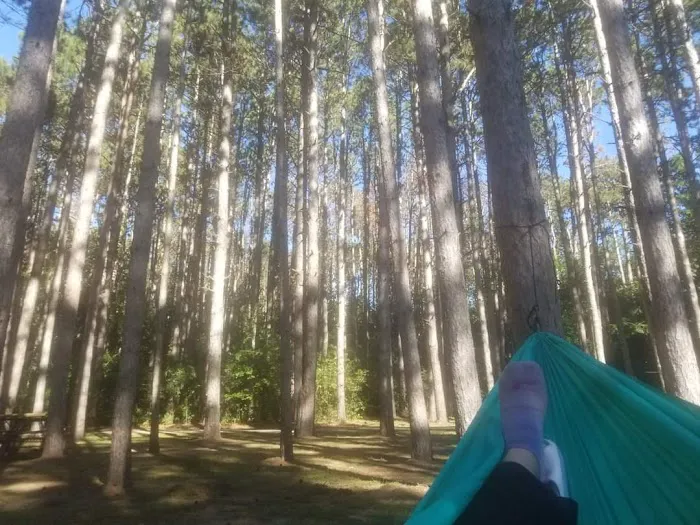 Pine View Campground Picture 8