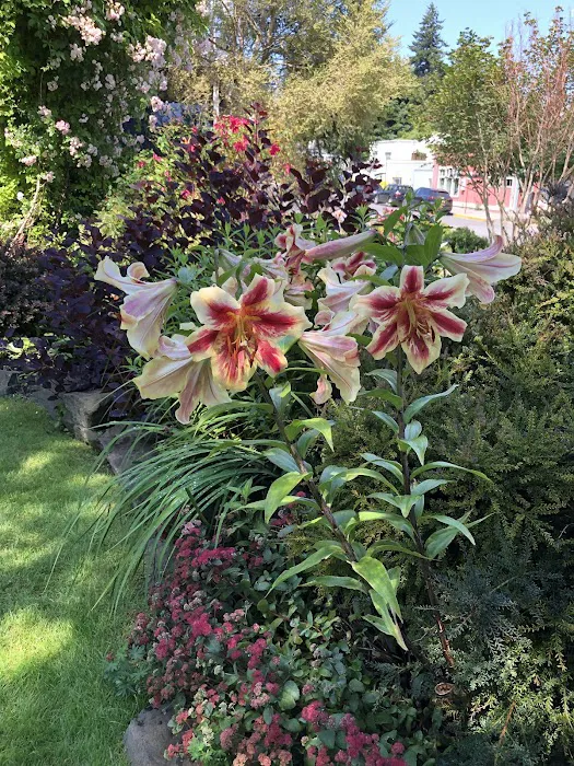 Pine View Campground Picture 9