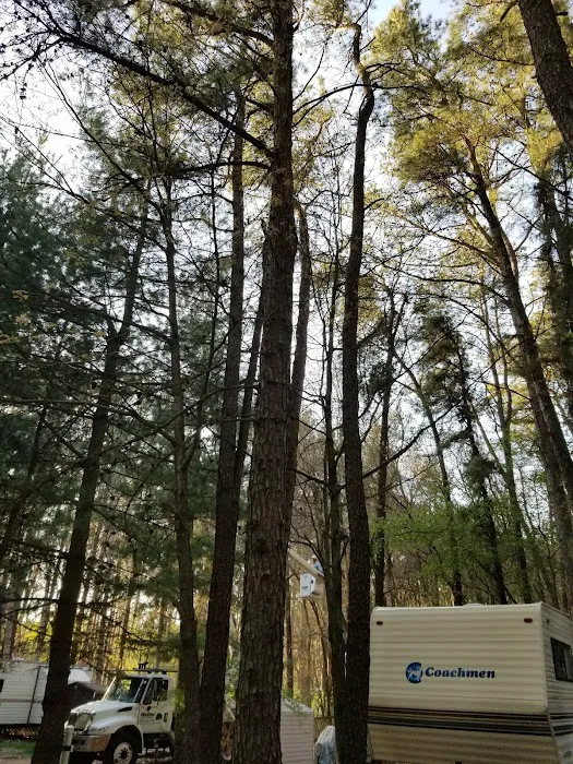 Pine View Campground Picture 10