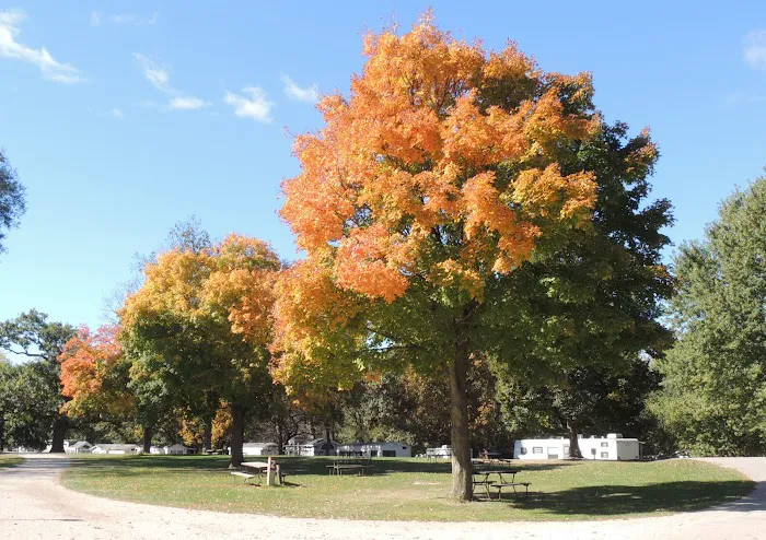 O'Connell's RV Campground Picture 3