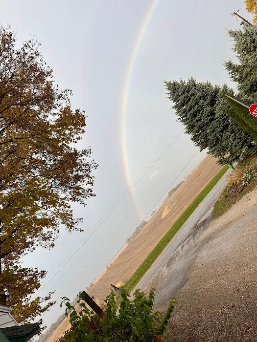 Hickory Grove Campground and RV Park Picture 3