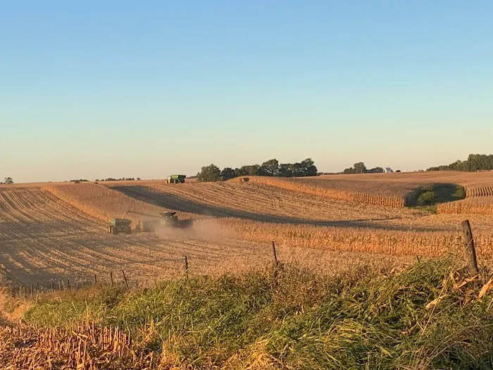 Hickory Grove Campground and RV Park Picture 6