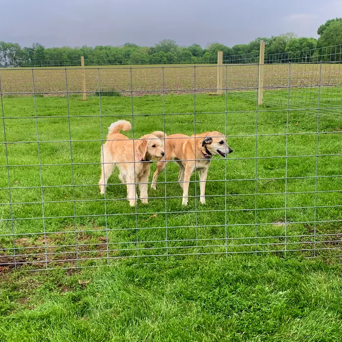 Hickory Grove Campground and RV Park Picture 10