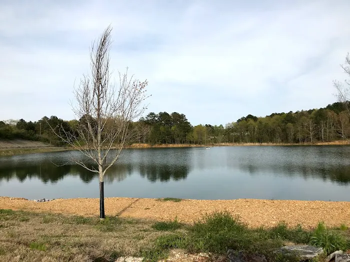 The Cove Rv Resort and Campground Picture 10