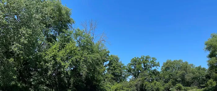 Ruffit Park Campground Picture 5
