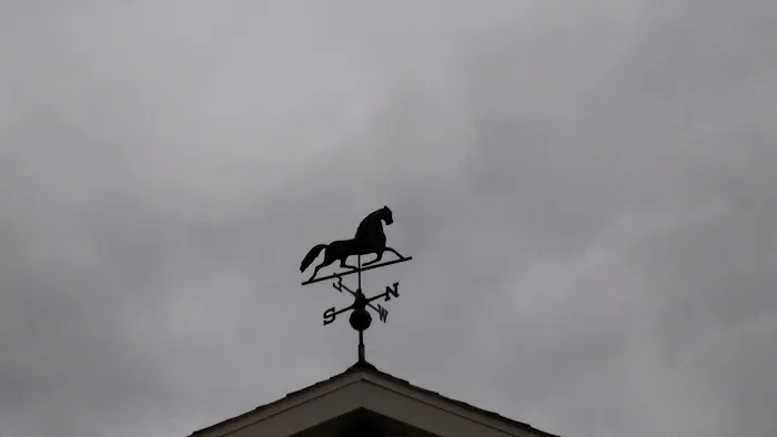 Lake Carroll Campground Picture 1