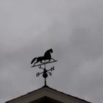 Lake Carroll Campground